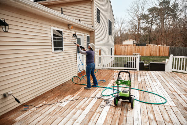 Best Pressure Washing Company Near Me  in San Manuel, AZ