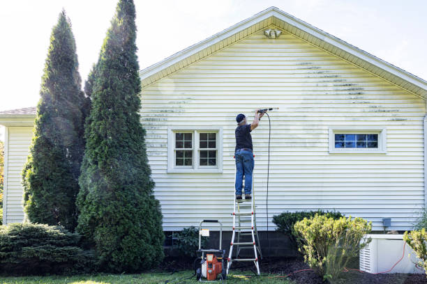 Why Choose Our Certified Pressure Washing Experts for Your Project Needs in San Manuel, AZ?