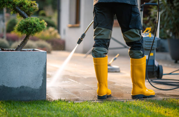 Best House Pressure Washing  in San Manuel, AZ